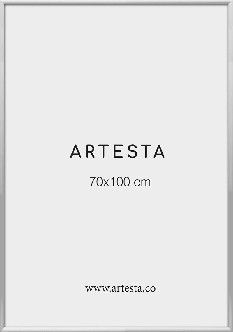 Silver frame 28'' x 39'' in