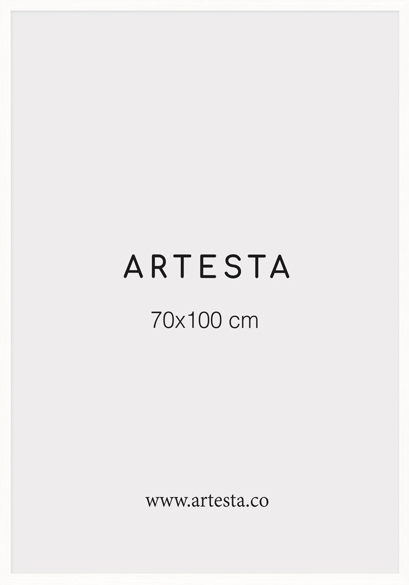 White frame 28'' x 39'' in