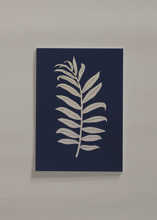 Areca Palmata Deepnight Moon